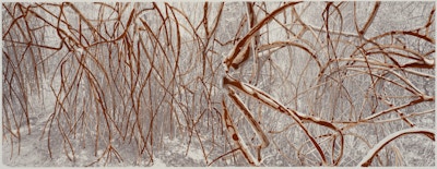 HM Queen Sonja, "Mangroves," 2015