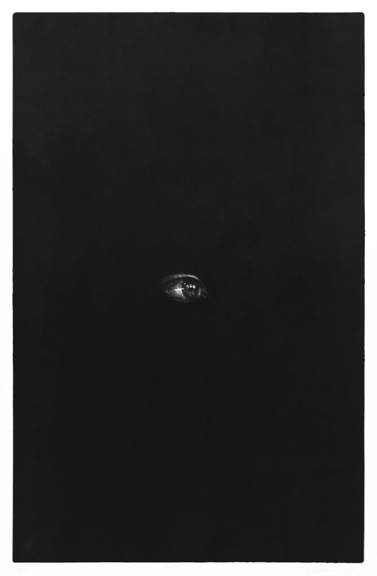 Hallapuro, Mari Elina, "Dark", 2020