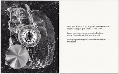 Powell, Freya, "What Did I Expect To Find", 2017