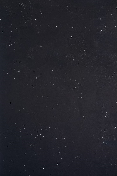Vanni, Éugenia, "Xilofagia / Xilografia #2 (dark blue version)", 2018