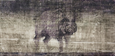 Umberto, Giovanni, "Nebbia" 2016
