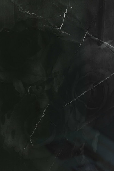 Mesayer Eliyah, "Thunderstorms and a waterfall of roses". 2019