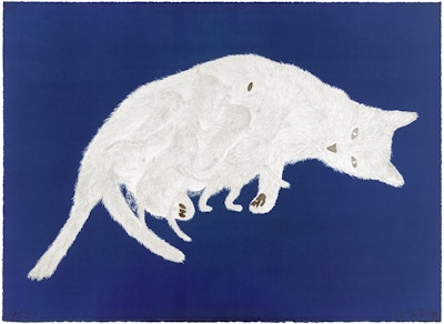 Kiki Smith, Litter, 1999